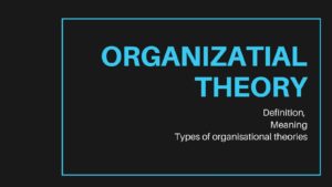 组织理论是什么
