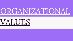 组织的价值观是什么