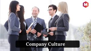 公司文化